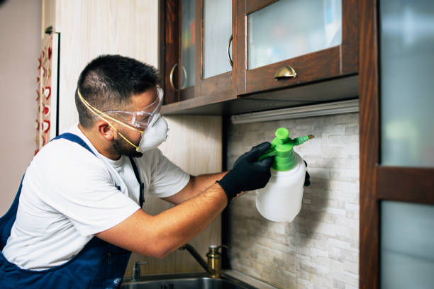 Best Residential Pest Control  in Sa Conejo, CA