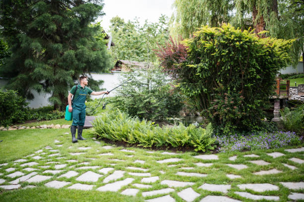 Best Pest Inspection Near Me  in Sa Conejo, CA