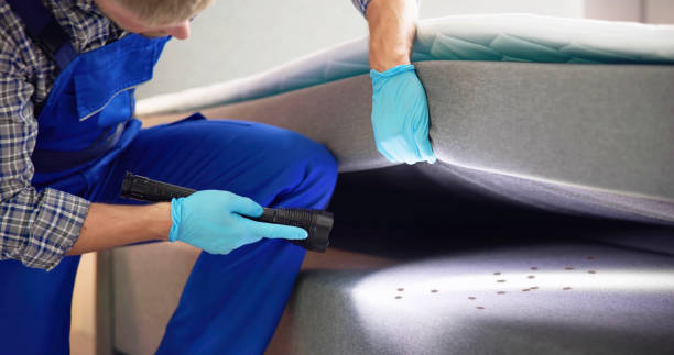 Best Wasp Removal Services  in Sa Conejo, CA