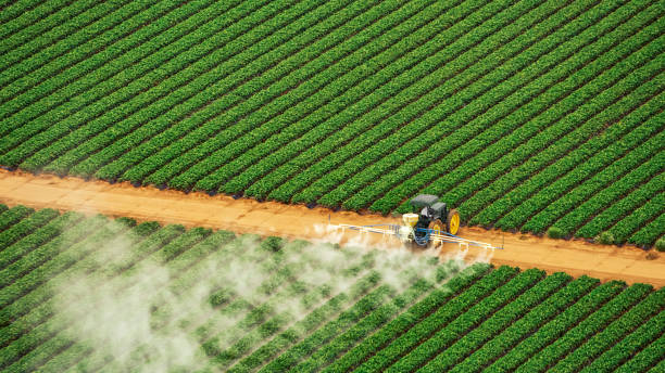 Best Commercial Pest Control Services  in Sa Conejo, CA